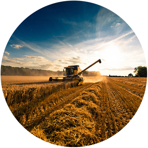 Agriculture